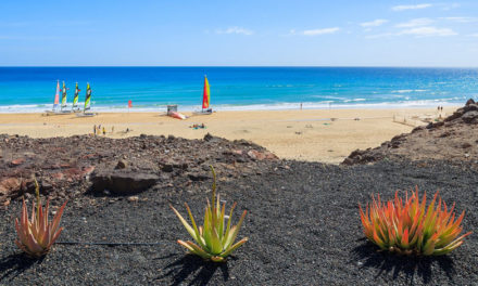 Ofertas Agosto – Fuerteventura